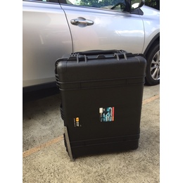 Pelican 1630 No Foam Black