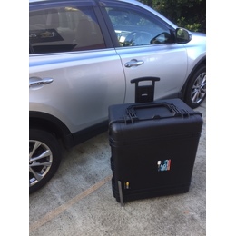 Pelican 1690 No Foam Black