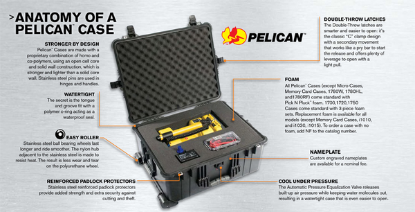 Pelican 1650 with Dividers
