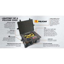 Pelican 1650 with Dividers